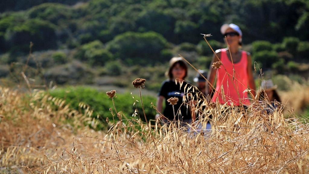 Village De Vacances Paese Di Lava, Grand Ajaccio Alata Εξωτερικό φωτογραφία